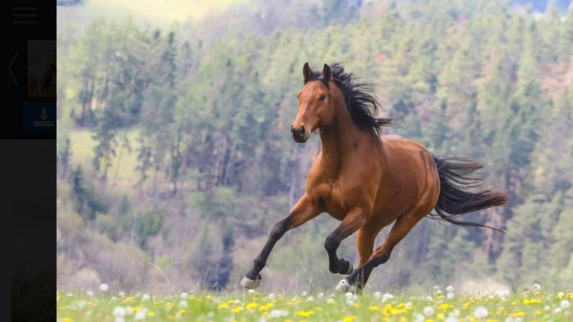 Апартаменты Statek Stranovice Malenice Экстерьер фото